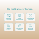 Rainbow Zizi Samen Automatik Samen Lucky Hemp