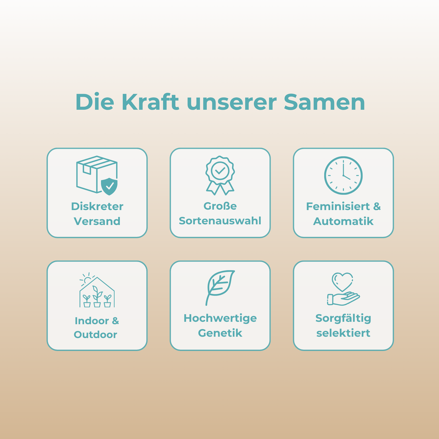 Rainbow Zizi Samen Automatik Samen Lucky Hemp