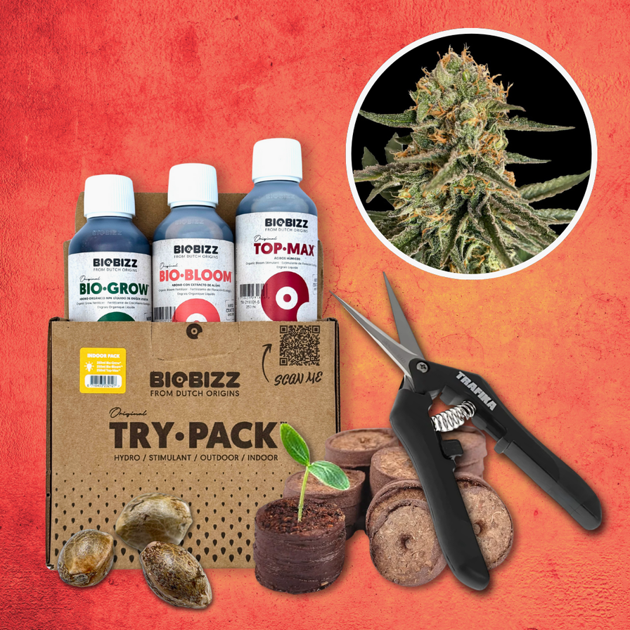 Grow Starter-Kit: THC Samen Lucky Hemp