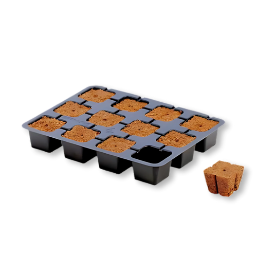 Eazy Plug 12er Tray Growzubehör Lucky Hemp