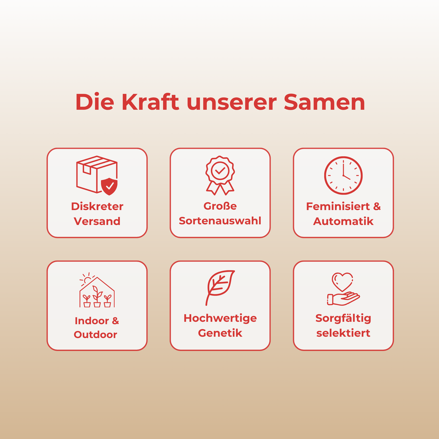 Strawberry Samen Automatik Samen Lucky Hemp