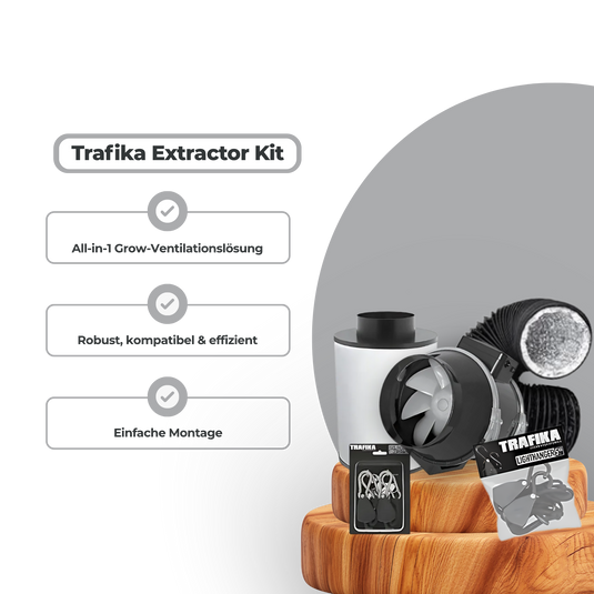 Trafika Lüfter + Aktivkohlefilter Growzubehör Lucky Hemp