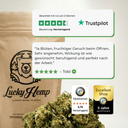 Berry Kush Ökopack Blüten Lucky Hemp