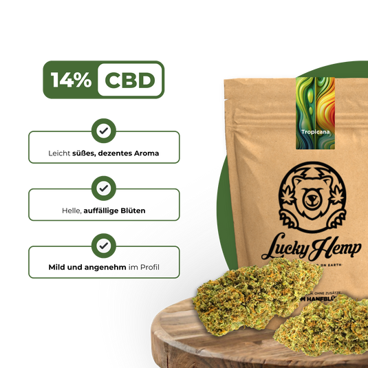 420 Spar-Bundle Blüten Lucky Hemp