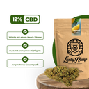 Lemon Pop Ökopack Blüten Lucky Hemp