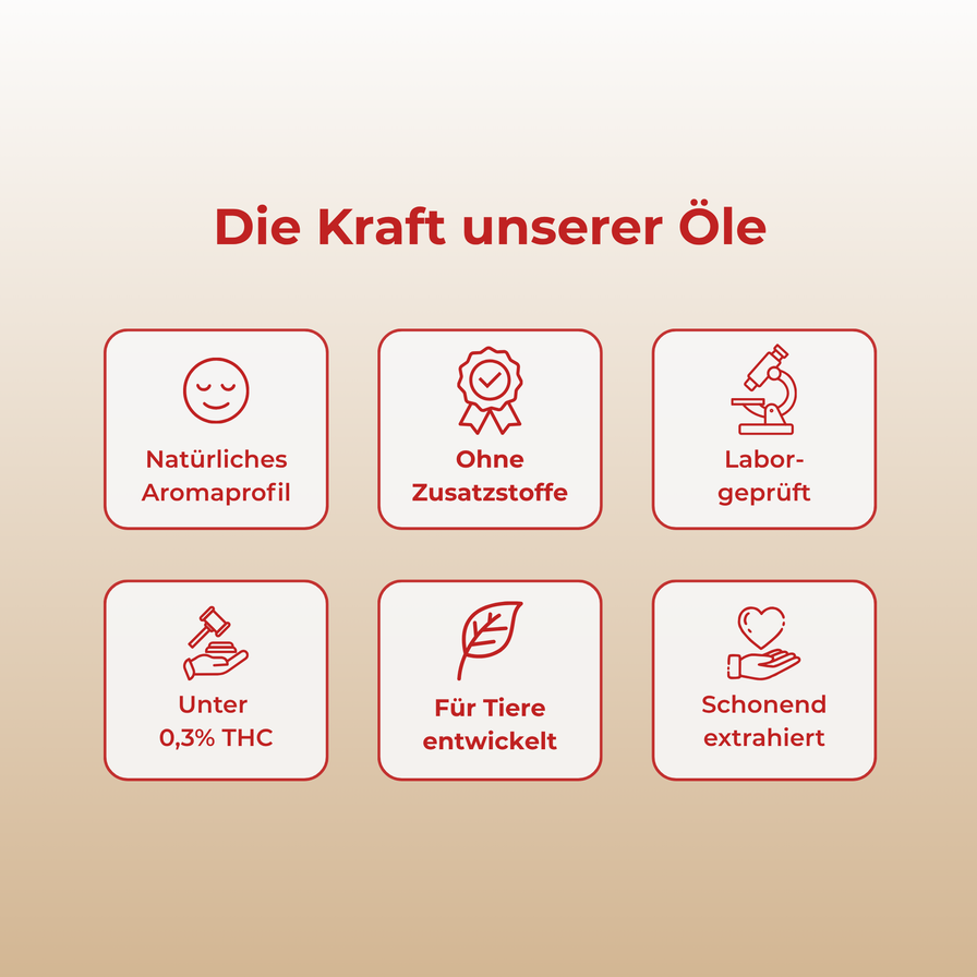Lachs CBD-Öl Öle Lucky Hemp