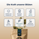Blueberry Haze Ökopack Blüten Lucky Hemp