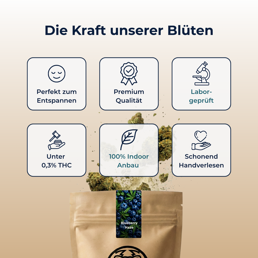 Blueberry Haze Ökopack Blüten Lucky Hemp