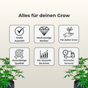 S&R Green Power Vegan CalMag Boost Growzubehör S&R