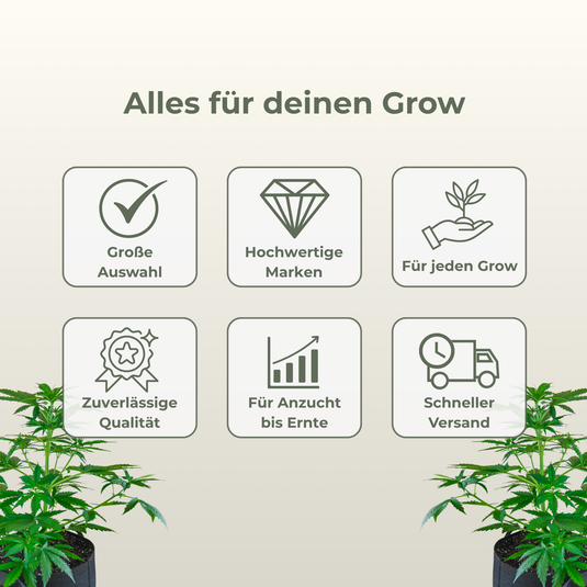 SANlight Q6W Gen2 LED Pflanzenlampe – Gebraucht Growzubehör Green Power
