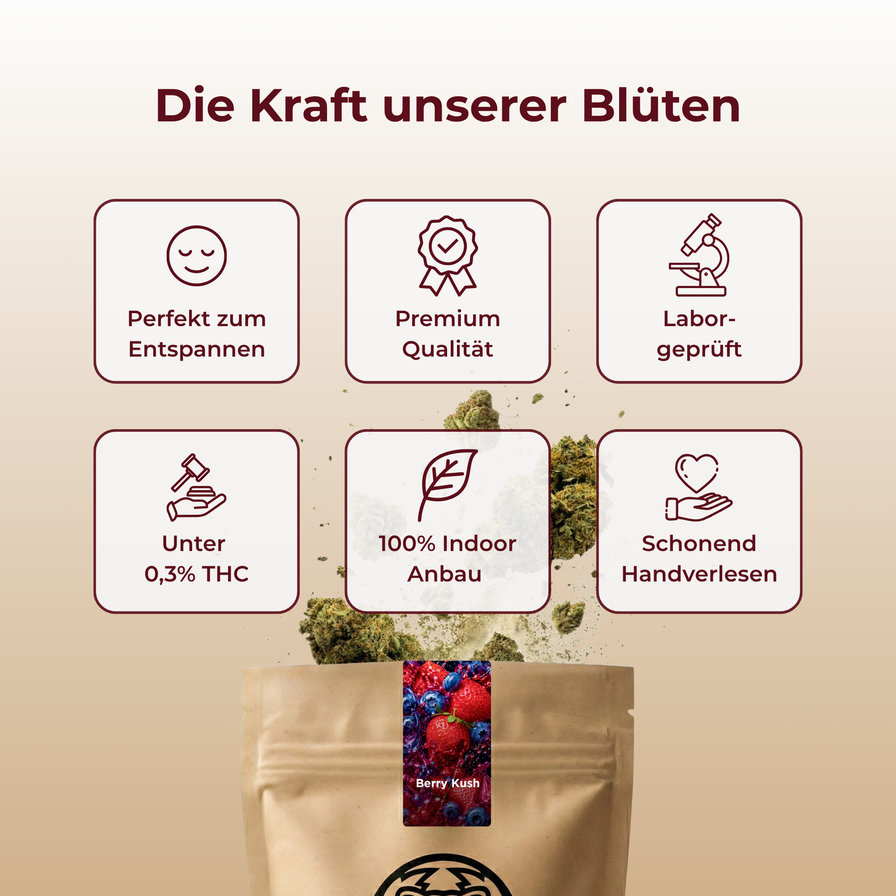 Berry Kush Ökopack Blüten Lucky Hemp