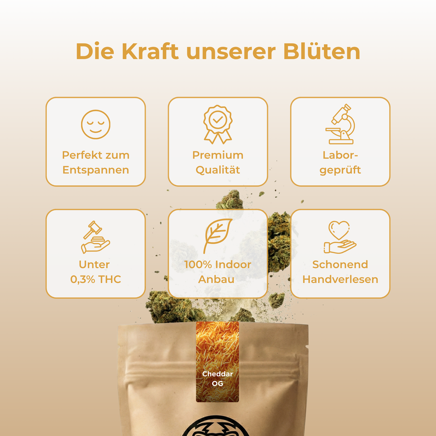 Cheddar OG Ökopack Blüten Lucky Hemp