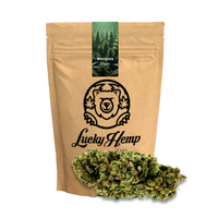Amnesia Haze Ökopack