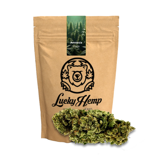 Amnesia Haze Ökopack Blüten Lucky Hemp