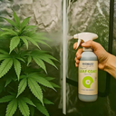 BioBizz Leaf Coat 500ml Sprüher Growzubehör Lucky Hemp