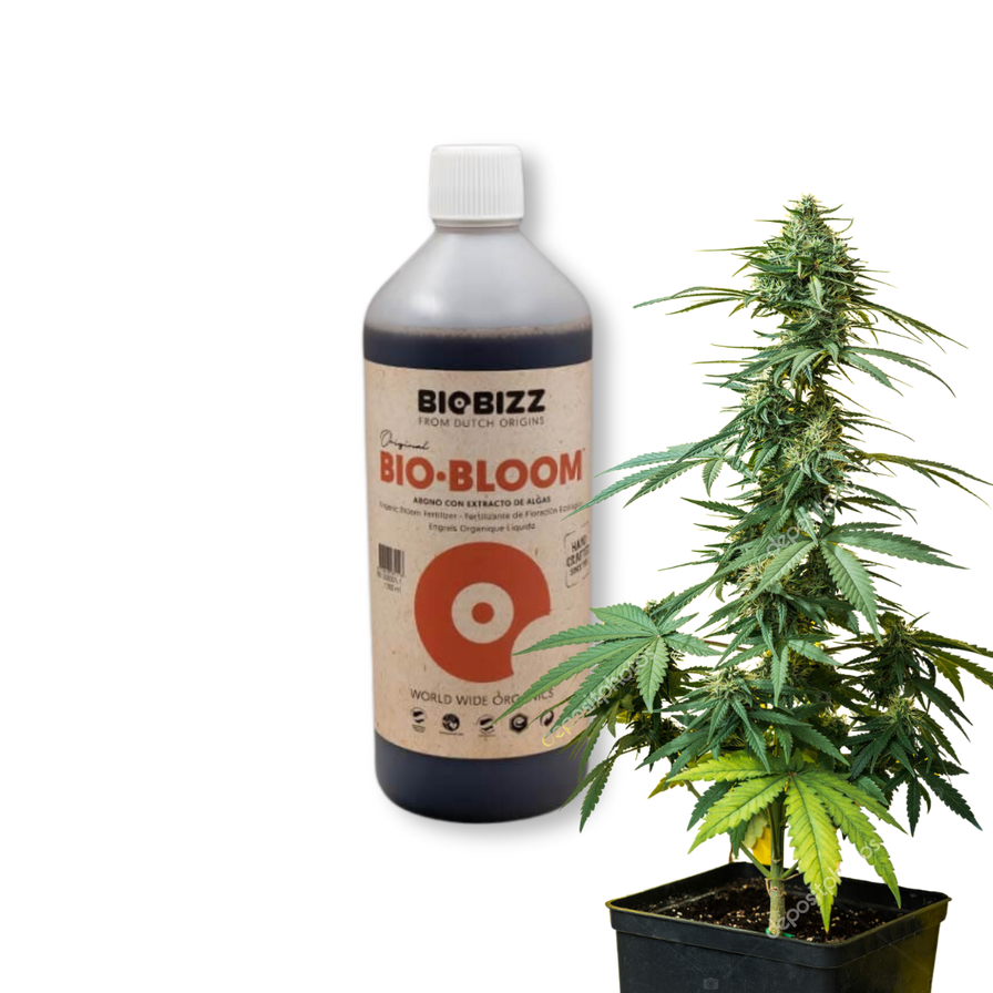 BioBizz Bio-Bloom 1 Liter Growzubehör Lucky Hemp