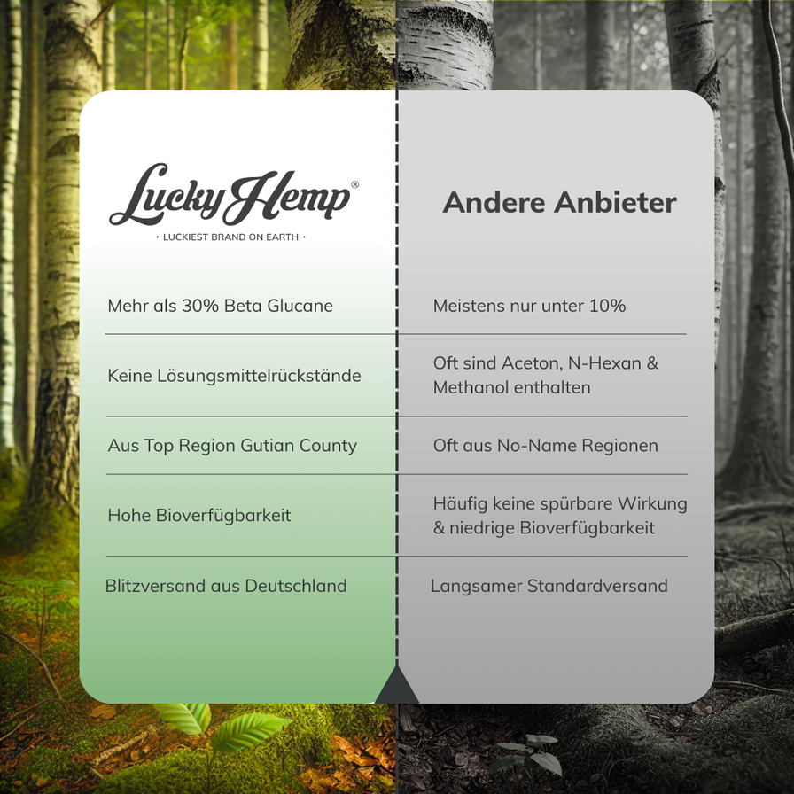 Cordyceps Vitalpilzextrakt Vitalpilze Lucky Hemp