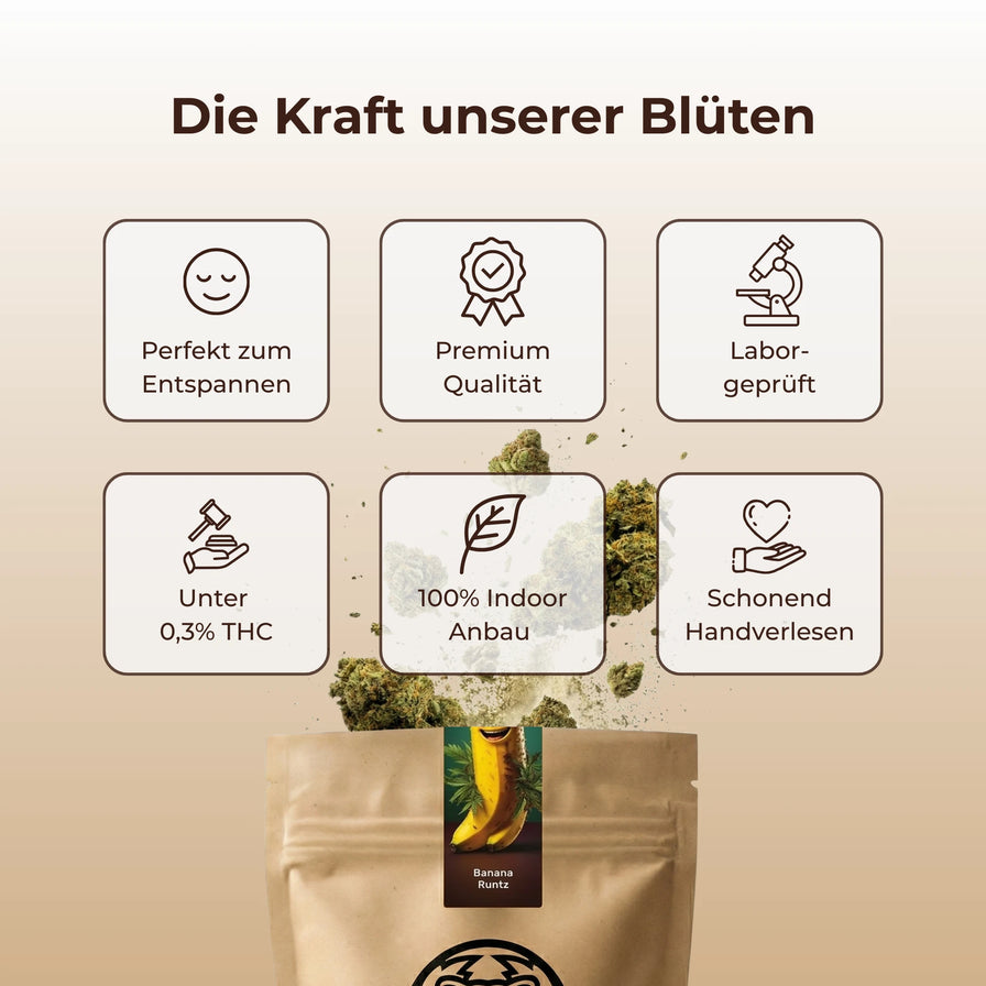 Banana Runtz Ökopack Blüten Lucky Hemp