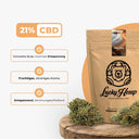 3er Probier Bundle Blüten Lucky Hemp