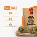 3er Blüten Probier-Bundle Blüten Lucky Hemp