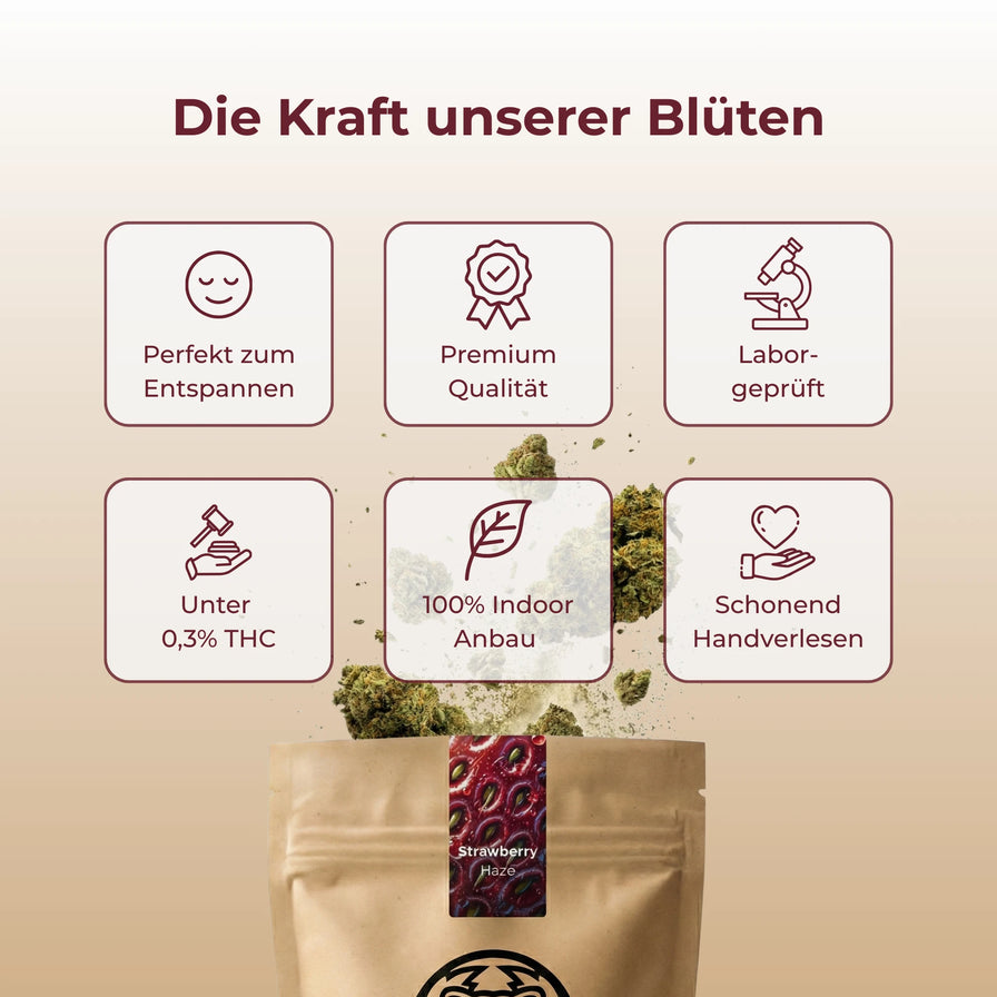 Strawberry Haze Ökopack Blüten Lucky Hemp