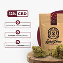 Strawberry Haze Ökopack Blüten Lucky Hemp