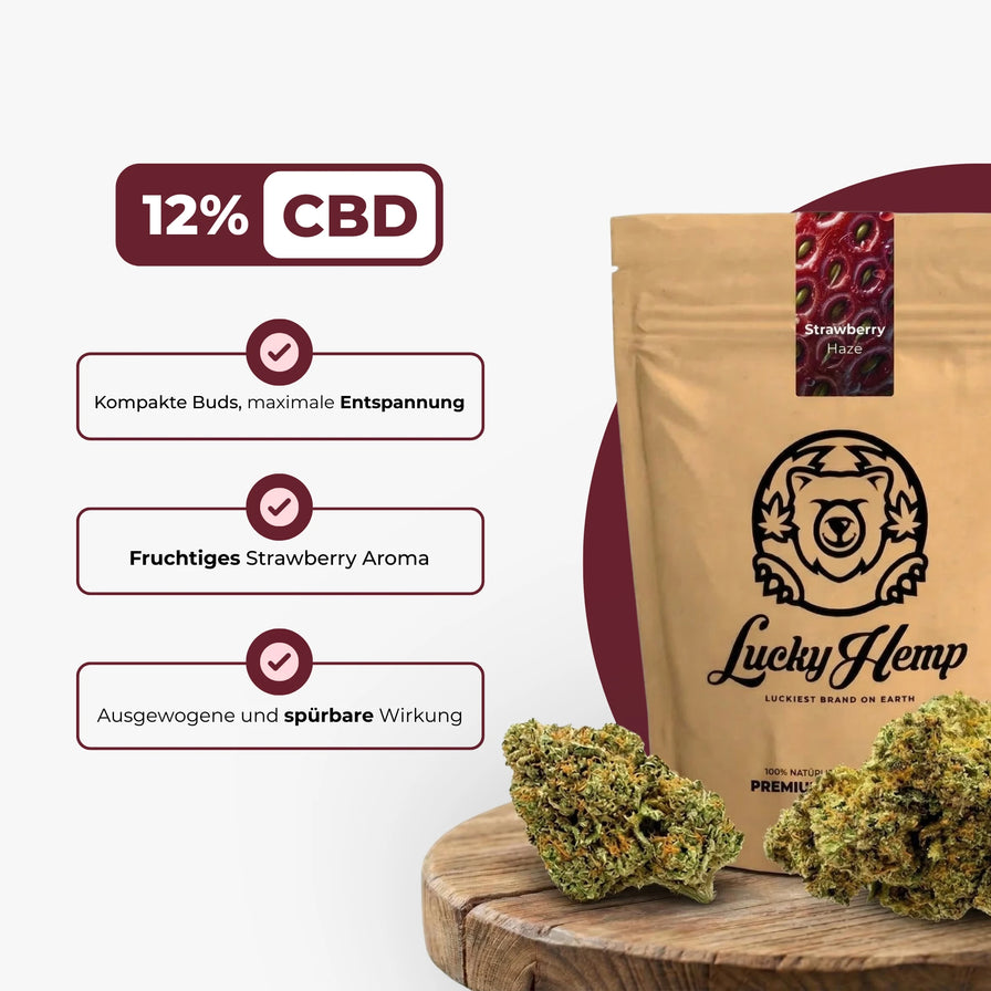 Strawberry Haze Ökopack Blüten Lucky Hemp