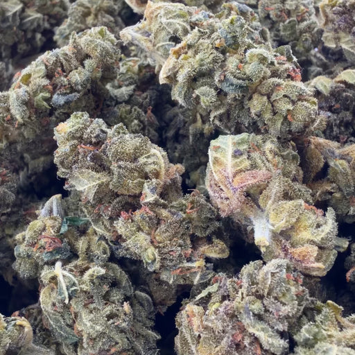 Columbian Magic Ökopack Blüten Lucky Hemp