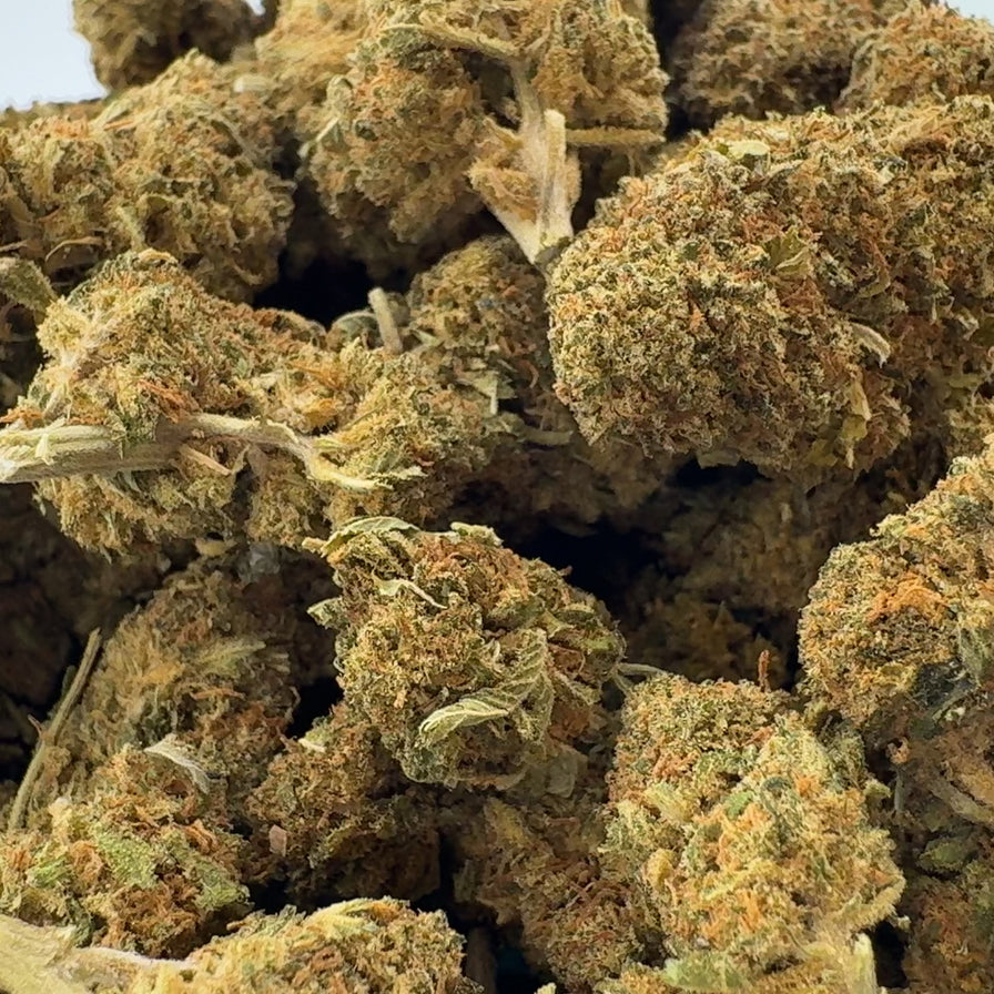 Lemon Pop Ökopack Blüten Lucky Hemp