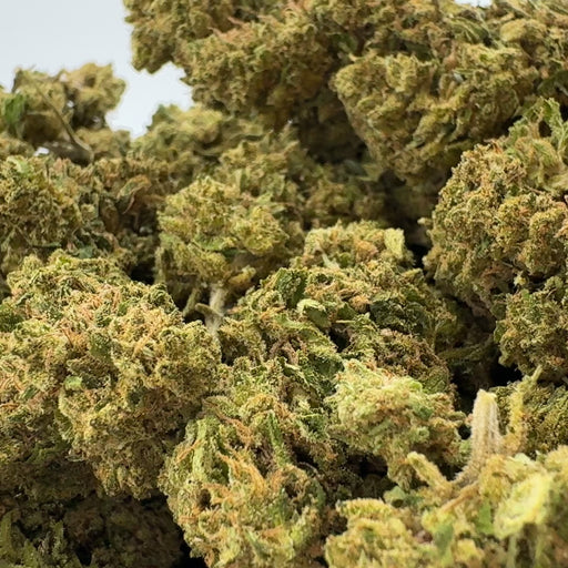Blueberry Haze Ökopack Blüten Lucky Hemp