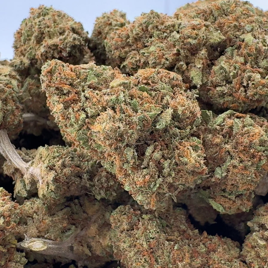 Tropicana Ökopack Blüten Lucky Hemp