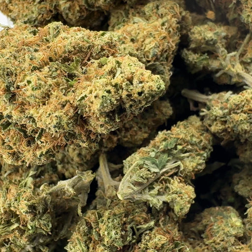 Godzilla Ökopack Blüten Lucky Hemp