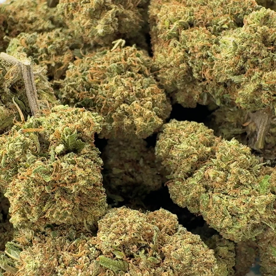 White Widow Ökopack Blüten Lucky Hemp
