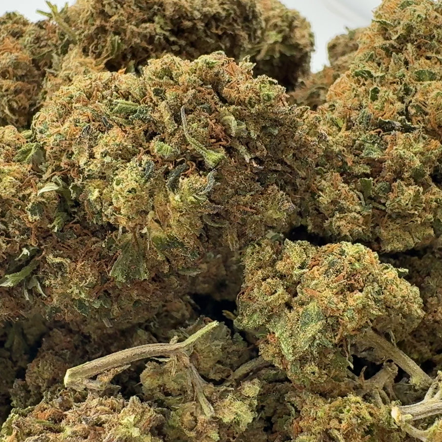 3er Blüten Probier-Bundle Blüten Lucky Hemp