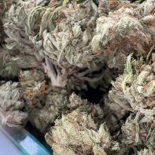 Oreoz Ökopack Blüten Lucky Hemp