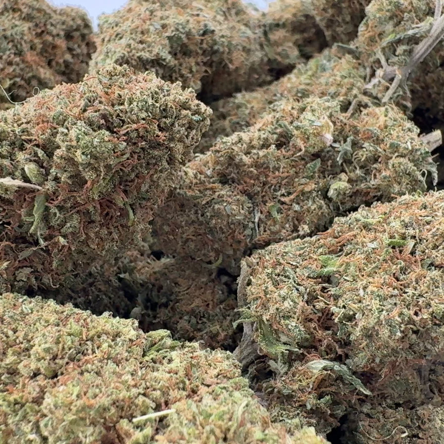 Bullet Kush Ökopack Blüten Lucky Hemp