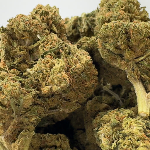 Animal Mints Ökopack Blüten Lucky Hemp