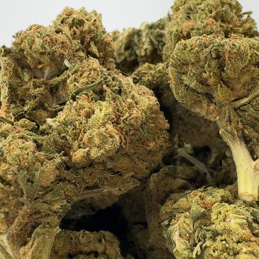 Animal Mints Ökopack Blüten Lucky Hemp
