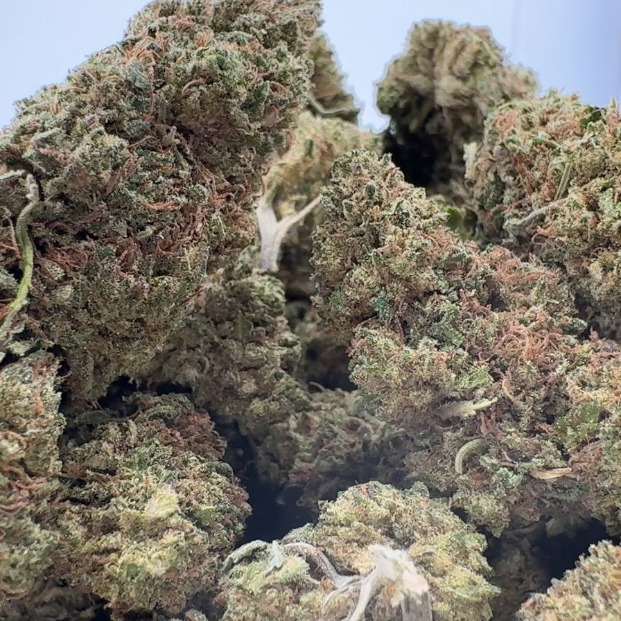 Cheddar OG Ökopack Blüten Lucky Hemp