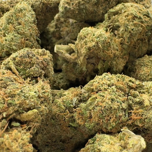 Lemon Gelato Ökopack Blüten Lucky Hemp