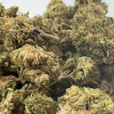 Cinderella CBG Ökopack Blüten Lucky Hemp