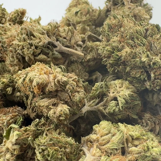 Cinderella CBG Ökopack Blüten Lucky Hemp