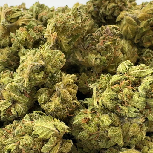 Berry Kush Ökopack Blüten Lucky Hemp