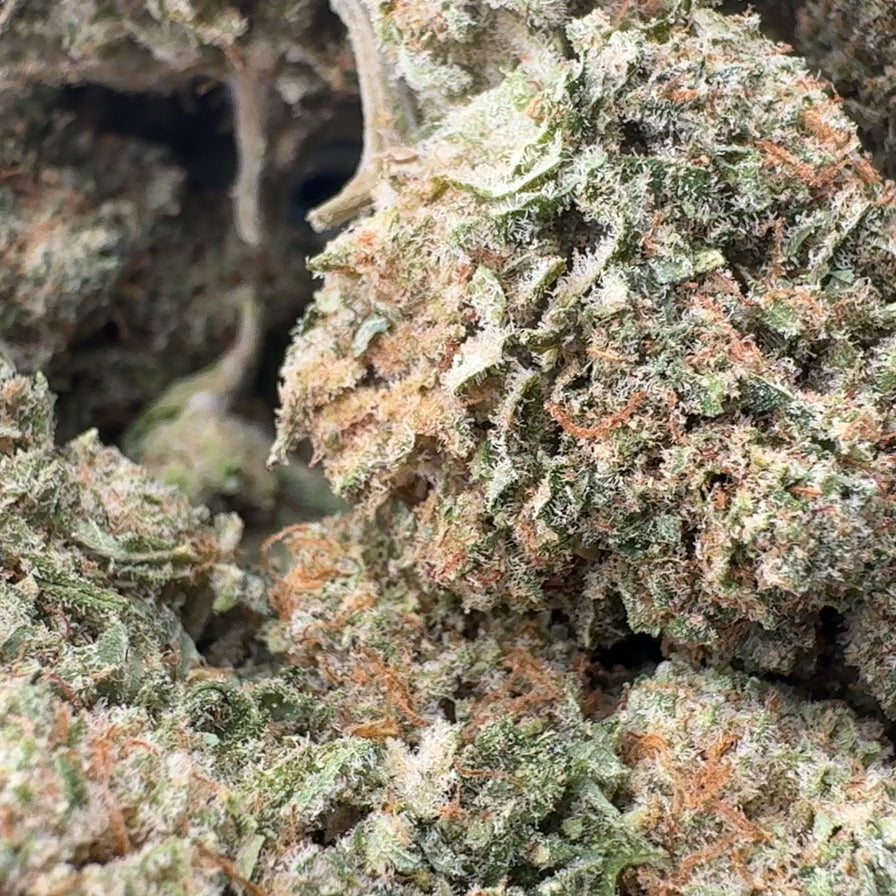 Cali Pop Ökopack Blüten Lucky Hemp