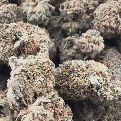Santhica CBG Ökopack Blüten Lucky Hemp
