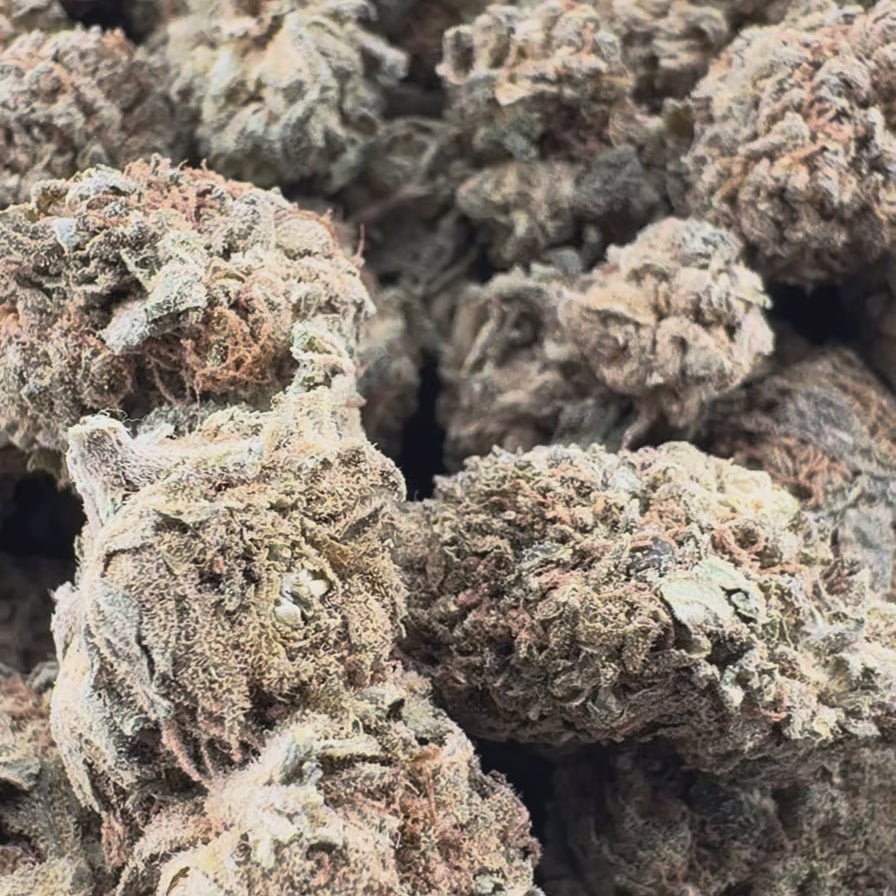 Santhica CBG Ökopack Blüten Lucky Hemp