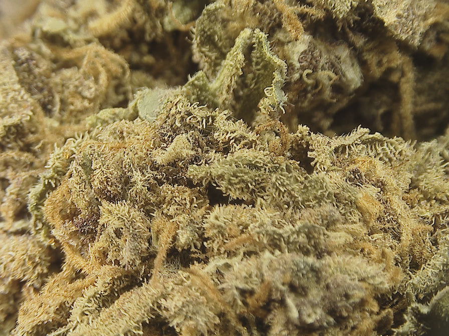 Purple Haze Glas Blüten Lucky Hemp