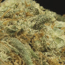 Mango CBG Ökopack Blüten Lucky Hemp   