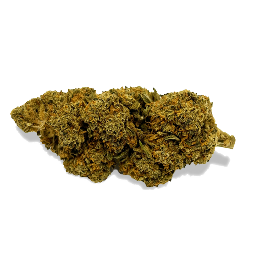 Blueberry Haze Ökopack Blüten Lucky Hemp   