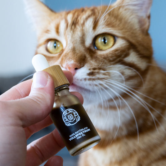 Bacon CBD-Öl Öle Lucky Hemp   